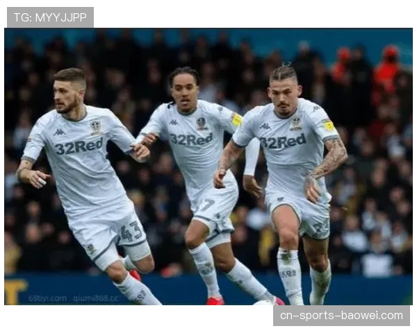 升班马保级前景不容乐观 利兹联与狼队深陷降级区